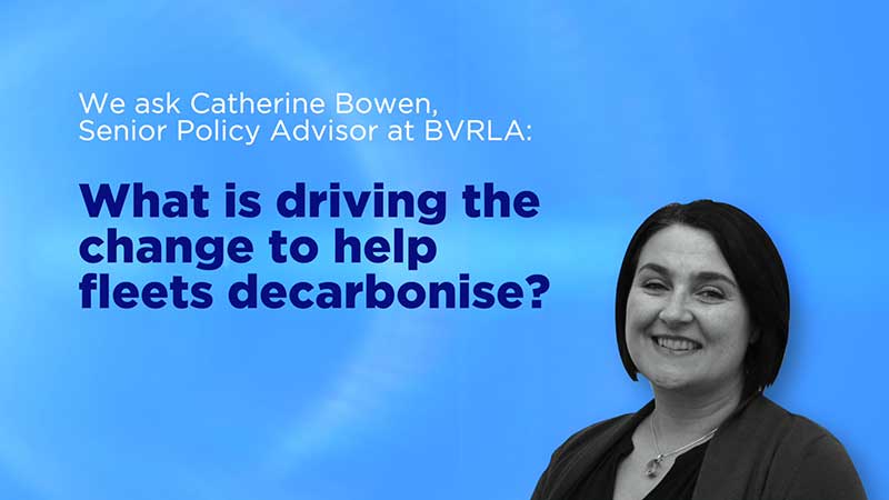 Ask-the-experts-with-catherine_bowen-rz