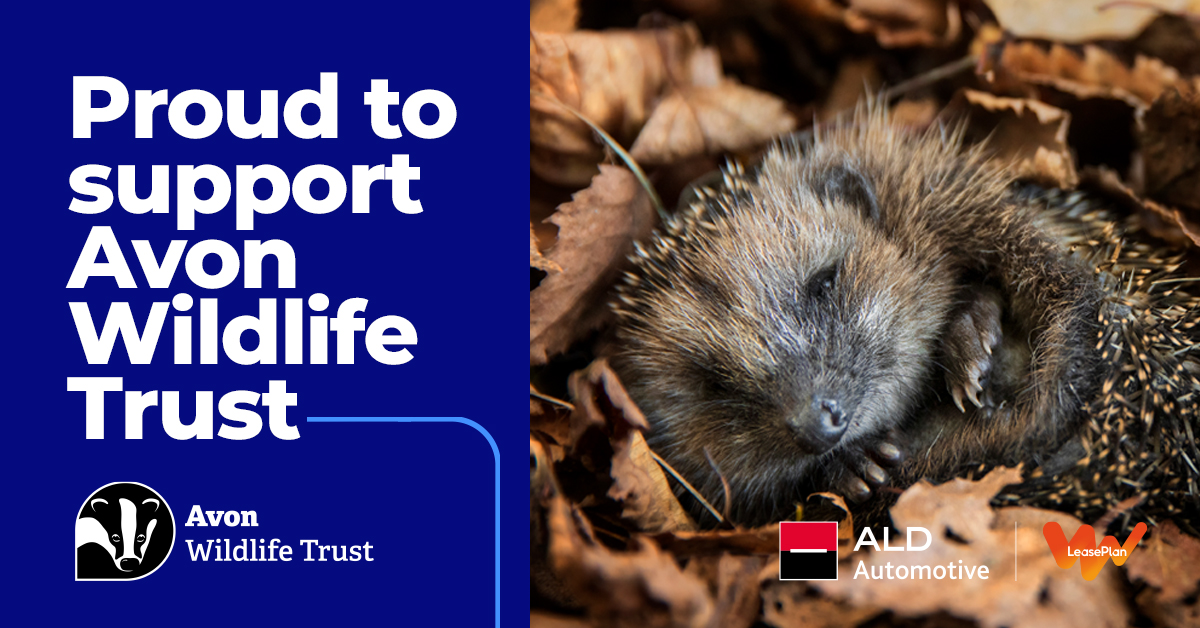 ALD Automotive Partners with Avon Wildlife Trust